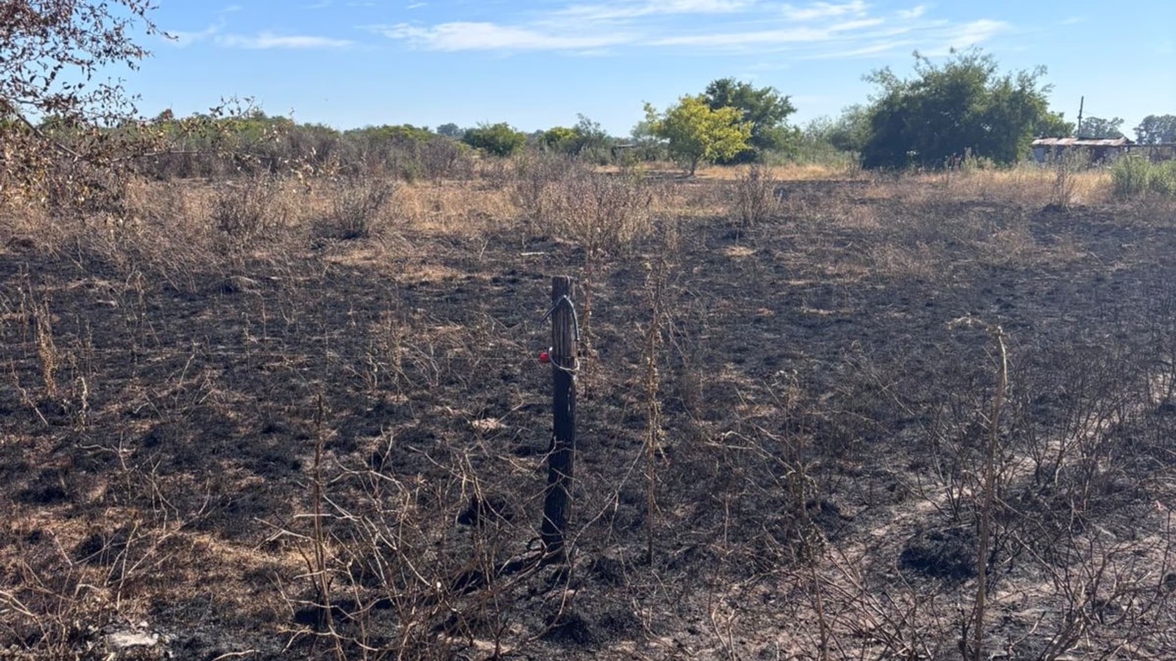 “Se quemó todo, no quedó nada”: Testimonio del encargado de los campos tras el incendio de pastizales en Guernica