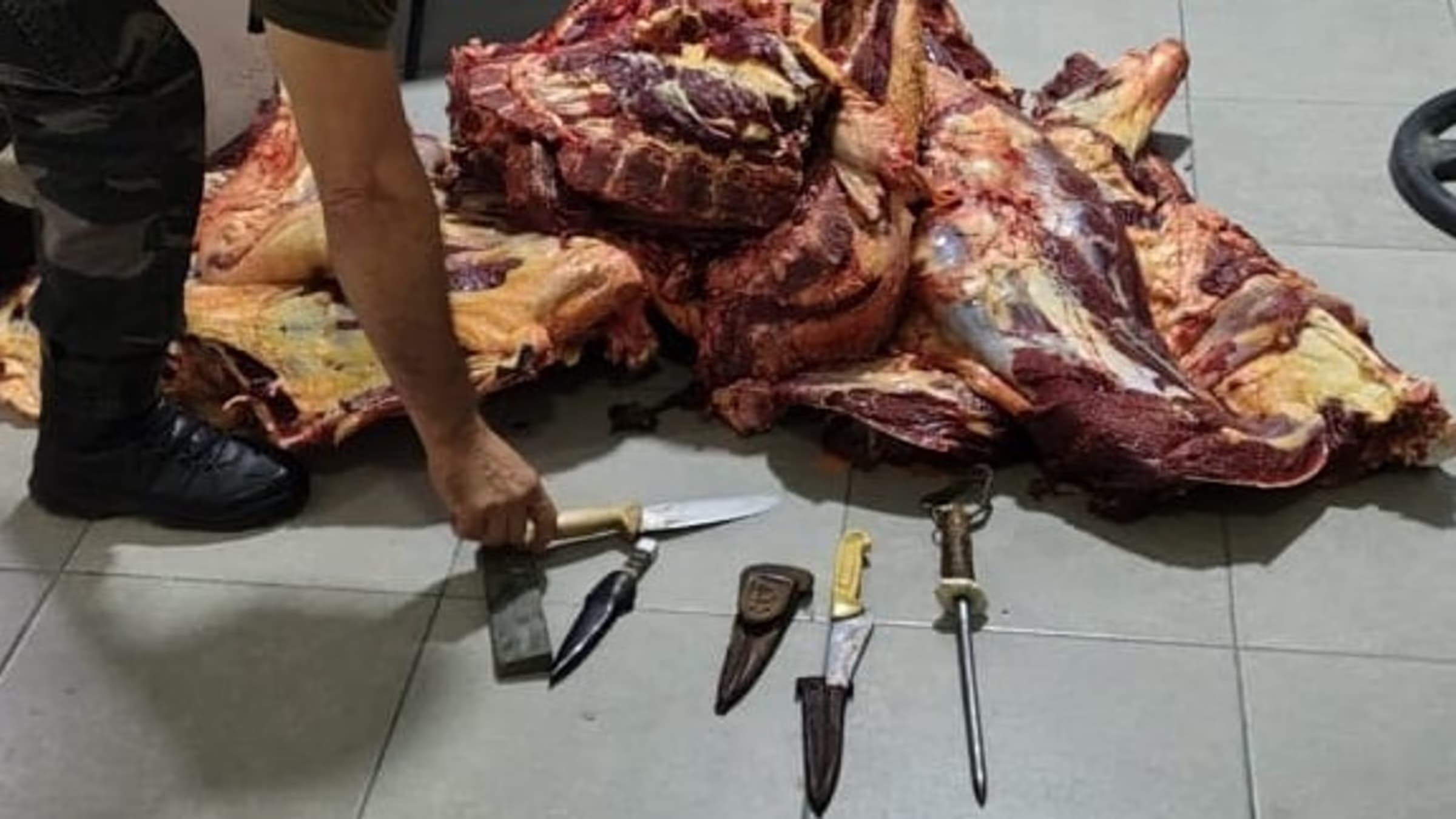 Canning: secuestran carne vacuna transportada sin frío en un operativo