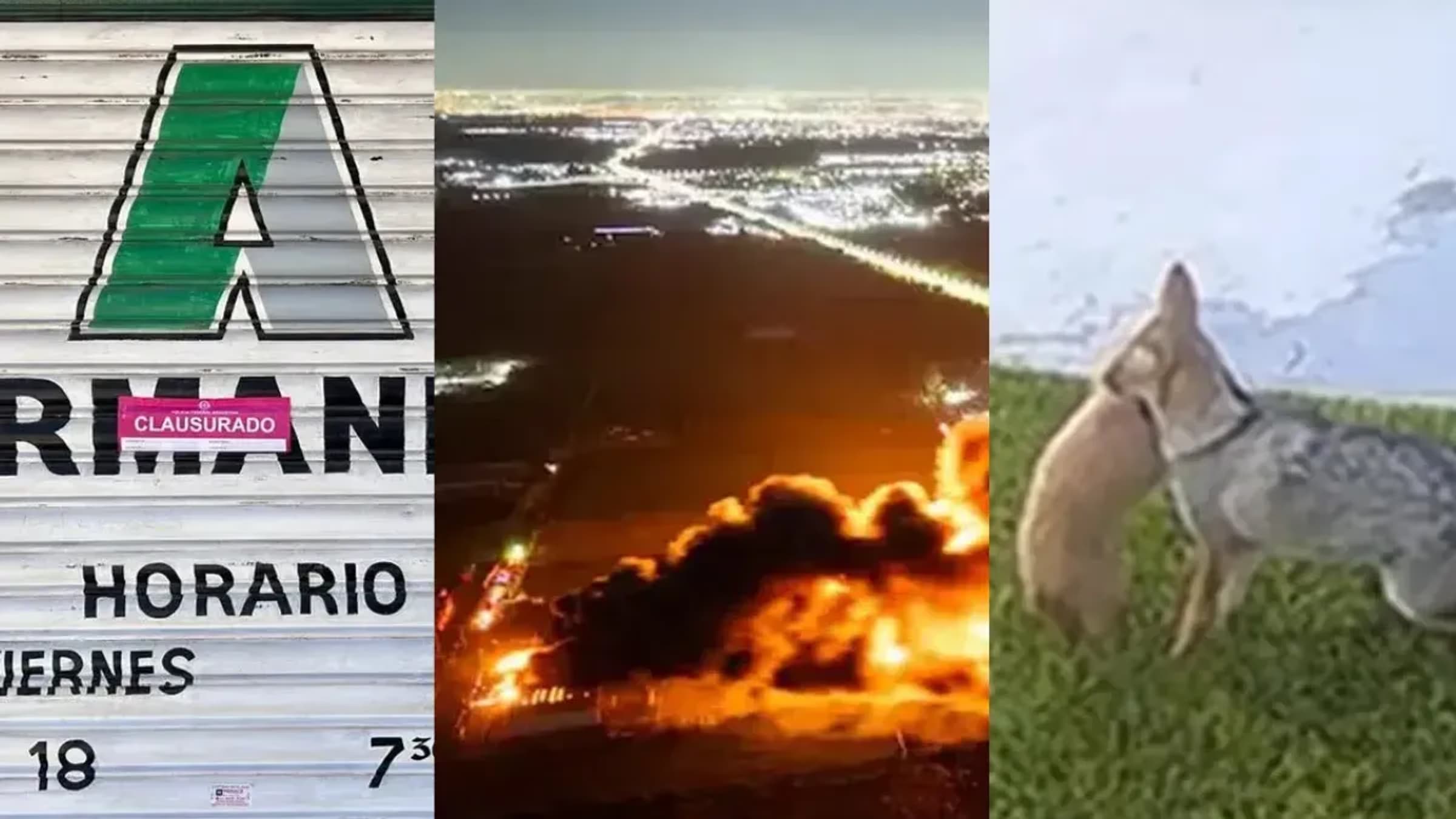 Todo lo que dejó el 2025 en Canning